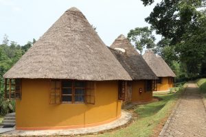 accommodation kibale